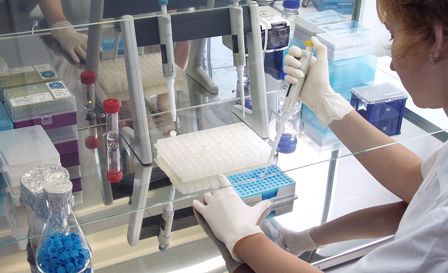 Pipetting samples in Testline diagnostic laboratory