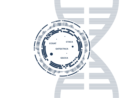 Precise genetic analysis with epicGEN Solid Cancer & MSI Kit 