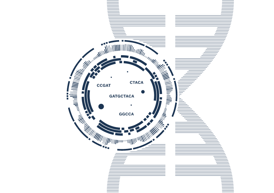 Precise genetic analysis with epicGEN Solid Cancer & MSI Kit 