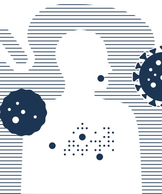 Herpes simplex virus – From Hippocrates to modern diagnostics