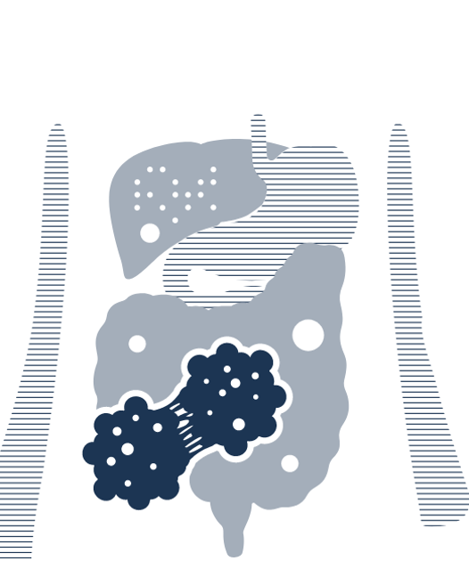 New BioVendor Group CLIA kit for Chromogranin A certified under IVDR 