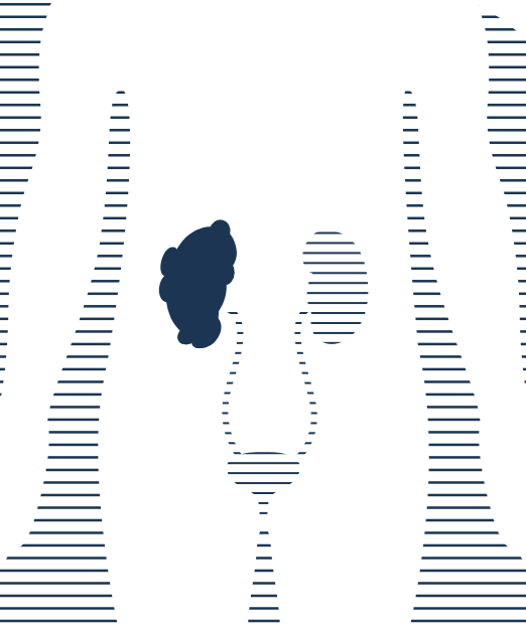 A new perspective on kidney diagnostics: Uromodulin on the CLIA platform