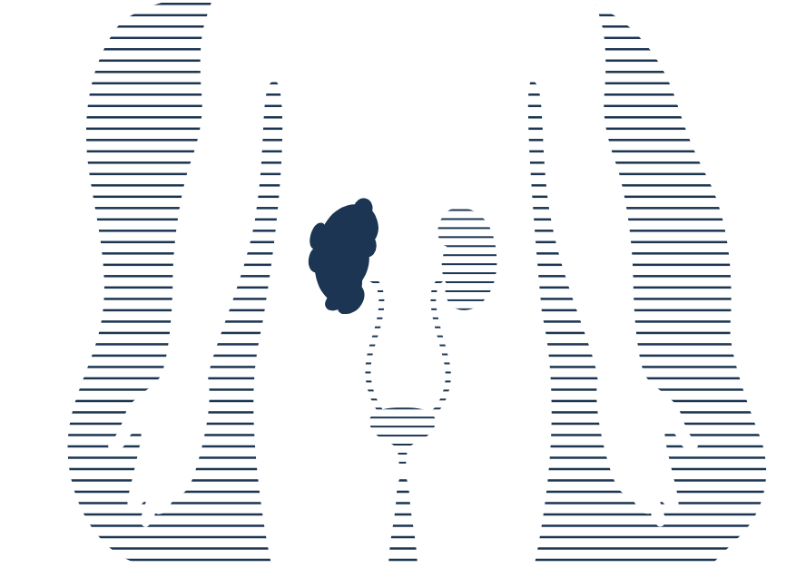 Uromodulin: Attend our scientific webinar