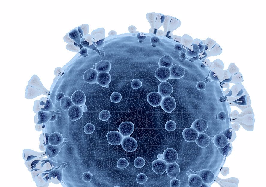 Tests can also reveal whether you are in danger of a serious clinical course of Covid-19 disease, says scientists from Brno
