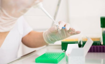 BioVendor R&D