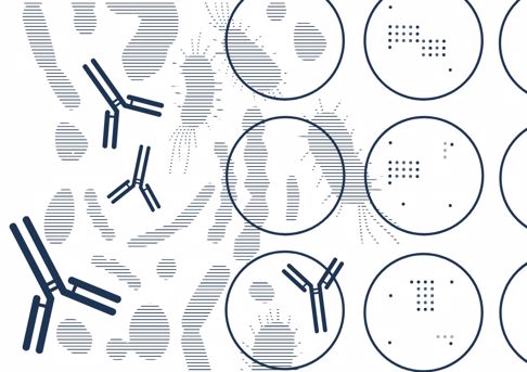 The new standard of the future? Microblot-Array combines the benefits of BLOT and ELISA.