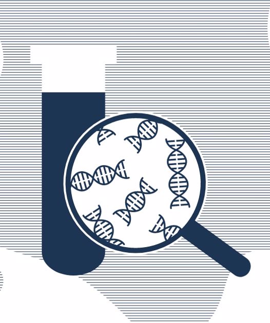 ViennaLab and its partners Euformatics and Oncompass Medicine in phase 2 of the OncNGS project